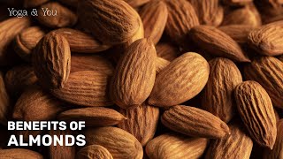 Health Benefits of Almonds  Remedy for Antioxidant Boost  Benefits of Soaked Almonds [upl. by Ready]