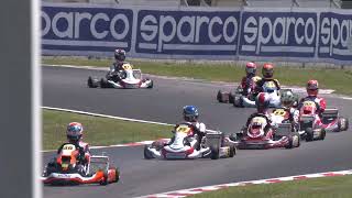 KZ2 MANCHE 2 WSK Open Series 2024 R2 La Conca [upl. by Coad]