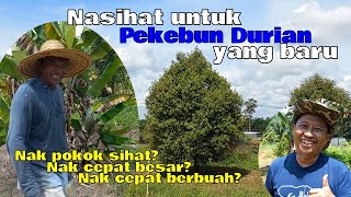 NASIHAT UNTUK PEKEBUN DURIAN BARU  INI TIPS JAGA KEBUN DURIAN  EP 62 [upl. by Kazimir]