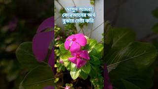 সুবহানা রাব্বিয়াল আলা এর অর্থ duet bangla follower islamicstatus bangladesh shorts [upl. by Ahsinot278]