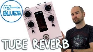 TREX Room Mate Tube Reverb Pedal Demo [upl. by Grof]