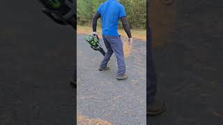 Fall clean up Cleaning off a driveway Ego leaf blower asmr entrepreneur lawncare fallcleanup [upl. by Hebe]