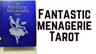 Fantastic Menagerie Tarot  Large Limited Edition [upl. by Eilyr]