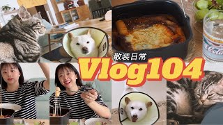 Vlog104丨做了个不用开火的芝士年糕 [upl. by Haugen567]