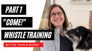 Training your dog to come to a whistle  Recall 1 [upl. by Cecilio]