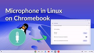 How to Enable the Microphone in Linux on a Chromebook [upl. by Mata]