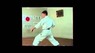 Shitoryu Karate Kata  Heian Nidan [upl. by Nosnar117]