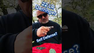 22 LR Derringer For Self Defense  North American Arms  Concealed Carry [upl. by Helas]