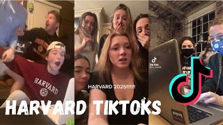 HARVARD ACCEPTANCE TIKTOKS try not to cry  NEW clean TikTok 2021 [upl. by Merry]