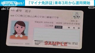 「マイナ免許証」来年3月から運用開始へ 政府が閣議決定2024年10月29日 [upl. by Ailev]