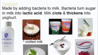 Microorganisms and Food  A Level AS Biology Revision [upl. by Nordna956]