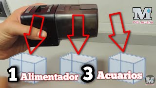 Alimentador automático quotCaseroquot 1x3 EHEIM l MiTu HD l [upl. by Laurella]