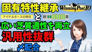 【ウイニングポスト10】固有特性継承、広い芝質適性に対応した〆配合【解説】 [upl. by Erwin]