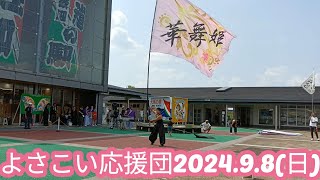 よさこい応援団チャリティー演舞･2024年9月8日日 [upl. by Ofella238]