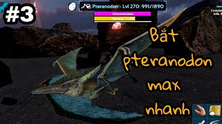 ARK MOBILE BRUTAL3 Bắt pteranodon và parasaur hướng dẫn cách lấy cung xịn và úp level [upl. by Ecinej]