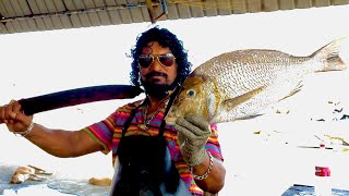 Fast And Perfect Spangled Emperor Fish Cutting Skills  Fresh Fish Sri Lanka [upl. by Rehtaeh153]