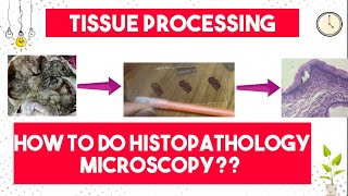 Tissue Processing  How to do Histopathology Light Microscopy  9 Steps of Tissue Processing [upl. by Namwen50]