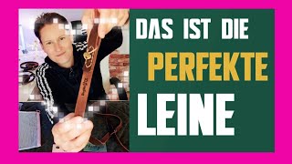 DogMa🐶LEINE ➡️ SOLLTE JEDER HUND HABEN ➡️ DIE Trainingsleine für DEIN HUNDETRAINING ✅ Retrieverleine [upl. by Aenil]