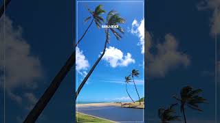 KAHALA BEACH ⛱️ Hawaii John Shorts hawaii honolulu waikiki [upl. by Deys]