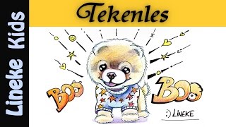 Super cute schattigste hondje ter wereld  Boo tekenen 23 💖 [upl. by Lura]