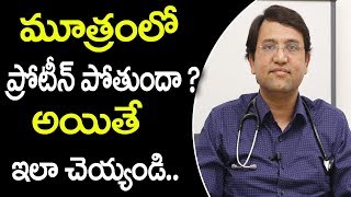 మూత్రంలో ప్రోటీన్ పోతే ఏంచేయాలి  Best Treatment for Proteinuria  Albuminuria  Latest Health tips [upl. by Acirderf648]