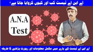 ANA Test  ANA test in Urdu  antinuclear antibody test  what is ANA test and its uses  Pasban [upl. by Htennaj228]