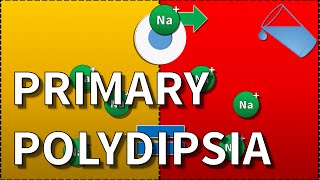 Primary Polydipsia Hyponatraemia [upl. by Erme]