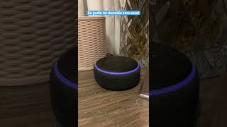 Eu podia ter dormido sem essa Alexa sem limites alexa echodot3 amazon [upl. by Marne]