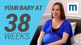 Your baby at 38 weeks  Pregnancy week by week [upl. by Cyna]