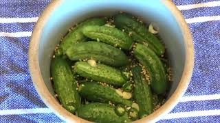 Homemade Crock Dill Pickles  Amazing Fermented Pickles [upl. by Saduj405]