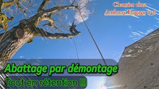 Abattage par démontage d un noyer tout en rétention [upl. by Anama319]