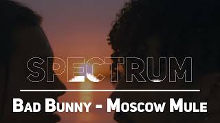 Bad Bunny  Moscow Mule Official Video  Un Verano Sin Ti [upl. by Laurene]