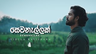 Vidula Ravishara  Sewanallak සෙවනැල්ලක් Official Visualizer [upl. by Gus995]