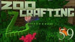 Snake Escape 🐘 Zoo Crafting Episode 59 [upl. by Salomi322]