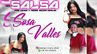 Quiero Volver Salsa Baul Para Lacras y Fresas🍓 Edición Especial Sosa Valles La Influencer Salsera💯 [upl. by Aguste]