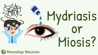 PURE MATH Behind the Effects of ANS Drugs on Pupils Miosis or Mydriasis [upl. by Wolfe]