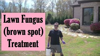 HOW TO Apply Fungicide to Treat Brown Spot in Your Lawn [upl. by Egan]