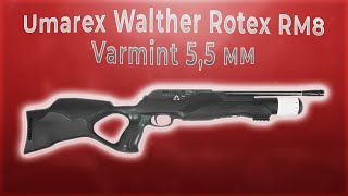 Umarex Walther Rotex RM8 Varmint 55 мм [upl. by Leikeze261]