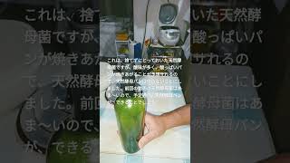 【天然酵母菌でパン】この菌では、断念ですという動画。 [upl. by Aidnac]