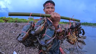 Amazing  The Traditional Way of Catching Lots of Big Mud Crab In The Swamp [upl. by Yorke716]