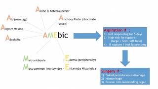 Amebic amp Pyogenic Liver Abscess [upl. by Ahsekam]