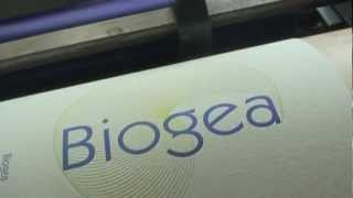 Biogea [upl. by Happy57]