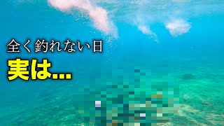 全く釣れない日の水中映像が異次元すぎた【中部の磯】 [upl. by Eirrak102]