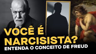 Como funciona uma pessoa narcisista Freud e a Casa do Saber explicam  Mapa do Saber  Episódio 02 [upl. by Fezoj612]