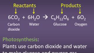 110 4 Molecules and Balanced Reactions [upl. by Tenaej]