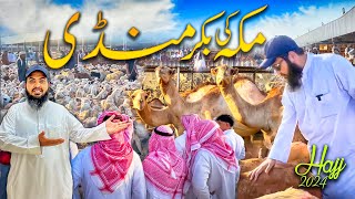 Makkah ki bakra Mandi hajj season 2024  Latest hajj 2024 updates [upl. by Abrahamsen]