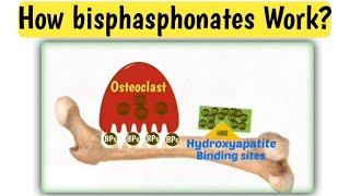 Mechanism action of bisphasphonates  How bisphasphonates work  Doctors goal [upl. by Onibas4]