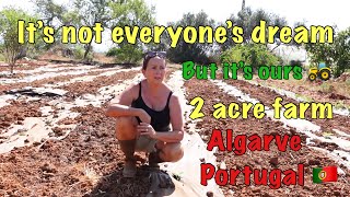 It’s not everyone’s dream but it’s ours 🚜 2 acre farm update Algarve Portugal 🇵🇹🌞 [upl. by Metts]