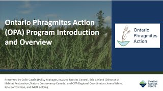 Ontario Phragmites Program OPA Introduction and Overview [upl. by Nrev]