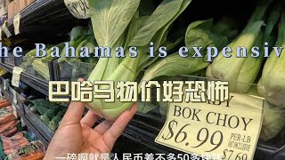 环球旅行第1726天：巴哈马这顶尖物价，蔬菜，水果贵的离谱！  鞋底环球旅行  XIEDI  usatravel  巴哈马 [upl. by Avahc]